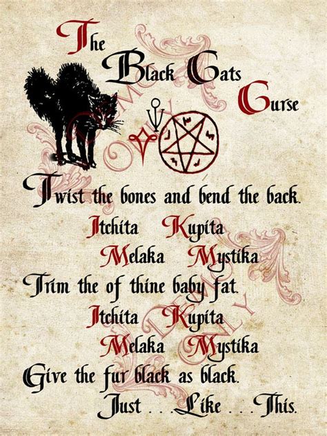 Beyond the Stereotypes: The Best Books on Modern Wicca